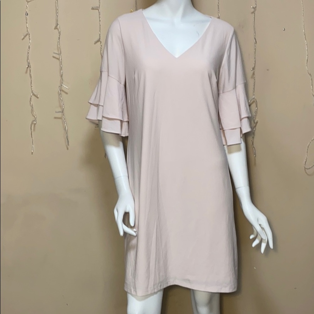 Roz Ali Blush Pink Ruffle Sleeve Shift Dress